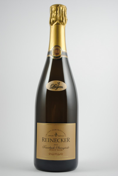 2018 Feuerbacher Steingässle Pinot Noir Blanc de Noirs Sekt Extra Brut, Reinecker