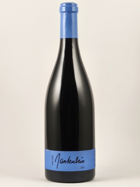 2024 Pinot Noir, Gantenbein