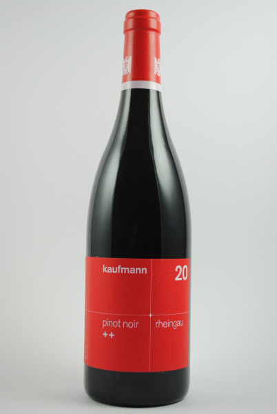 2020 Spätburgunder Pinot Noir ++ QbA trocken, Kaufmann